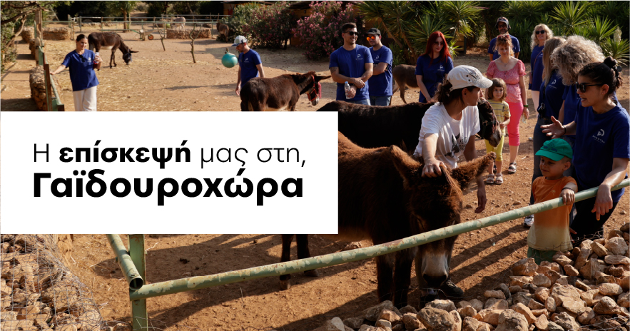 ΓΑΙΔΟΥΡΟΧΩΡΑ